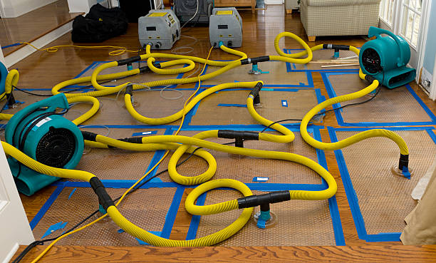 Professional Water Damage Restoration technician working in Keams Canyon, AZ